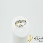 _resultado_bicolor 1