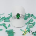 _resultado_saborita 1