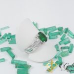 _resultado_saborita 2