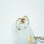 _resultado_tulipan 1